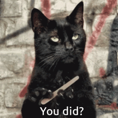 A Black Cat Is Holding A Nail File In Its Paws And Asking You Did GIF