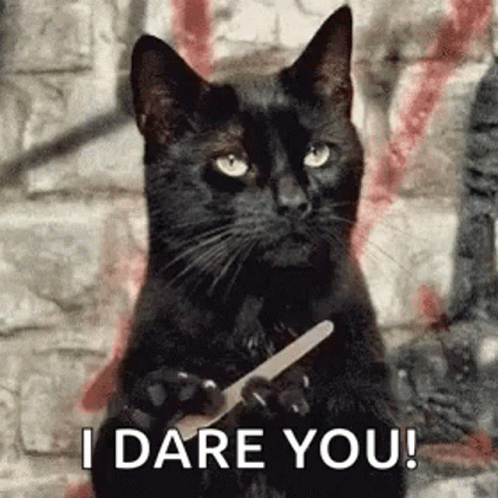 A Black Cat Is Holding A Nail File In Its Paws And Saying `` I Dare You ! '' GIF
