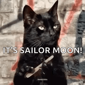 A Black Cat Is Holding A Nail File In Its Paws And Saying `` It 'S Sailor Moon ! '' GIF