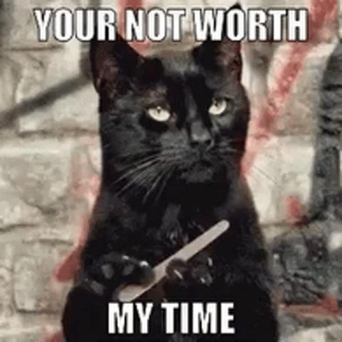 A Black Cat Is Holding A Nail File In Its Paws And Saying `` Your Not Worth My Time '' . GIF