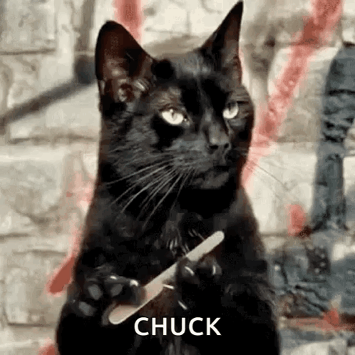 A Black Cat Is Holding A Nail File In Its Paws And Says Chuck . GIF