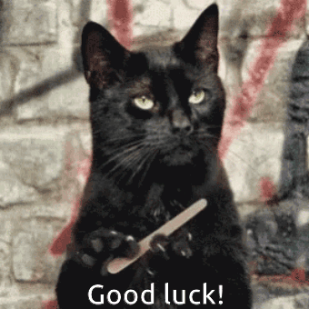 A Black Cat Is Holding A Nail File In Its Paws And Says " Good Luck " GIF