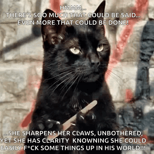 A Black Cat Is Holding A Nail File In Its Paws And Says Hmmm GIF