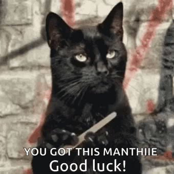 A Black Cat Is Holding A Nail File In Its Paws And Says `` You Got This Manthie Good Luck ! '' GIF