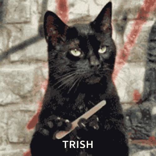 A Black Cat Is Holding A Nail File In Its Paws And The Word Trish Is Above It GIF