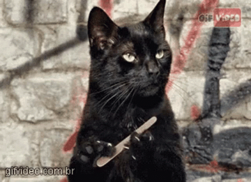 A Black Cat Is Holding A Nail File In Its Paws In Front Of A Brick Wall GIF