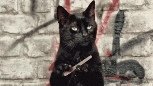 Black Cat Holding Nail File In Front Of Brick Wall GIF