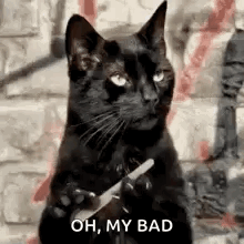 A Black Cat Is Holding A Pair Of Scissors And Says `` Oh , My Bad '' . GIF