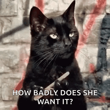 A Black Cat Is Holding A Pair Of Scissors In Its Paws . GIF