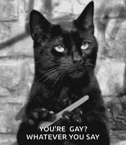 A Black Cat Is Holding A Pair Of Scissors In Its Paws And Asking If It Is Gay . GIF