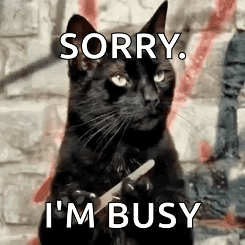 A Black Cat Is Holding A Piece Of Paper And Says Sorry I 'M Busy . GIF