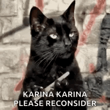 Black Cat Holding Paper And Giving Middle Finger GIF