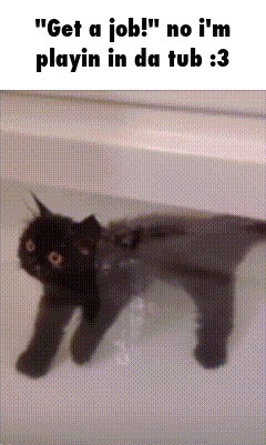 A Black Cat Is In A Bathtub With The Caption " Get A Job No I 'M Playin In Da Tub 3 " GIF