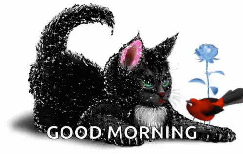 A Black Cat Is Laying Next To A Red Bird And A Blue Rose With The Words Good Morning Written Above It GIF
