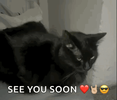 A Black Cat Is Laying Next To A Sign That Says See You Soon . GIF