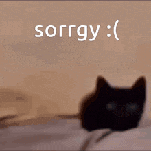 A Black Cat Is Laying On A Bed With The Word Sorry Written Above It GIF