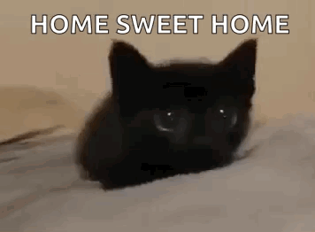 A Black Cat Is Laying On A Bed With The Words `` Home Sweet Home '' Written On It . GIF