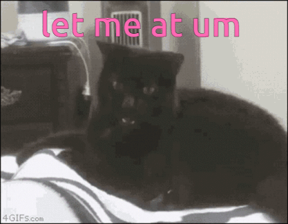 A Black Cat Is Laying On A Bed With The Words Let Me At Um GIF