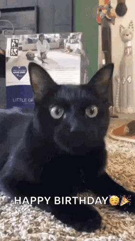 A Black Cat Is Laying On A Carpet In Front Of A Box That Says ' Happy Birthday ' On It . GIF