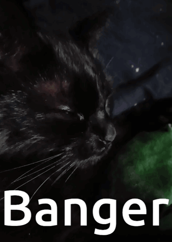 A Black Cat Is Laying On A Green Blanket With The Word Banger Above It GIF