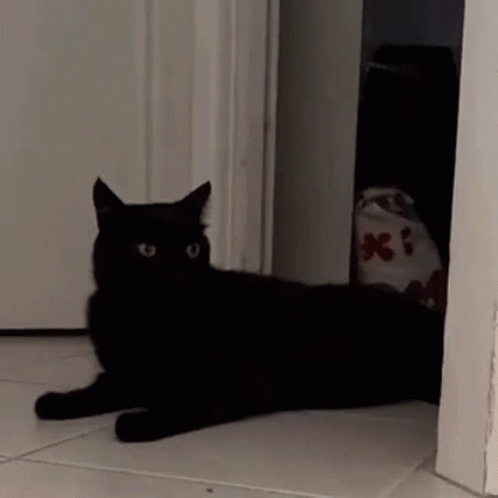 a black cat is laying on a tiled floor in front of a white door