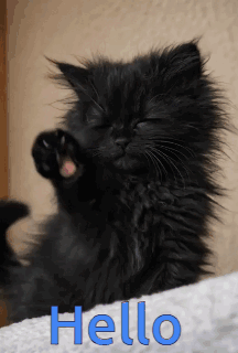 A Black Cat Is Laying On A White Towel With The Word Hello Written In Blue GIF