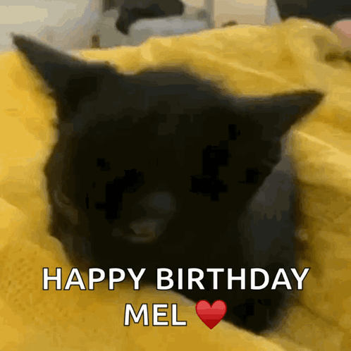 A Black Cat Is Laying On A Yellow Blanket With The Words Happy Birthday Mel Written Below It GIF