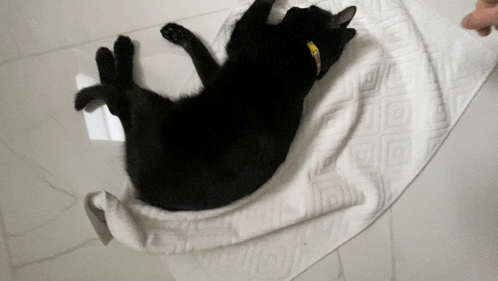 A Black Cat Is Laying On Its Back On A Towel GIF
