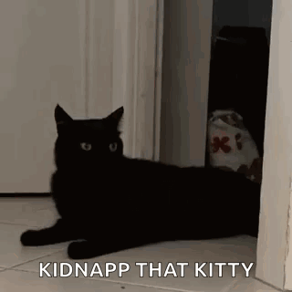 A Black Cat Is Laying On The Floor Next To A Door And A Bag . GIF