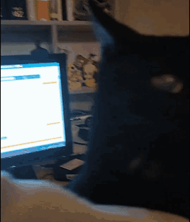 A Black Cat Is Looking At A Computer Screen With A Blue Screen GIF