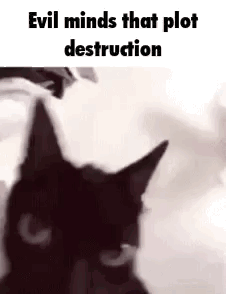 A Black Cat Is Looking At The Camera With The Words `` Evil Minds That Plot Destruction '' Above It . GIF