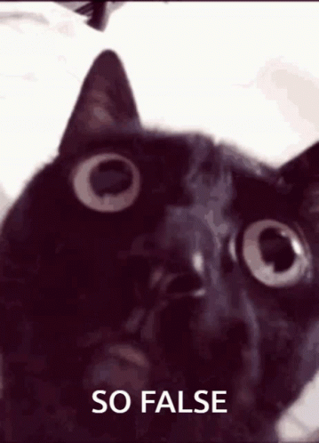 A Black Cat Is Looking At The Camera With The Words So False Behind It GIF