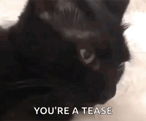 A Black Cat Is Looking At The Camera With The Words `` You 'Re A Tease '' Written On The Bottom . GIF