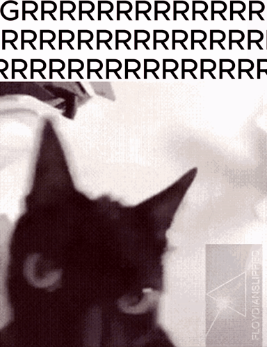 A Black Cat Is On The Cover Of A Book Called Floyd4n GIF