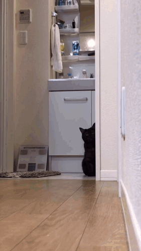 A Black Cat Is Peeking Out From Behind A Cabinet In A Bathroom GIF