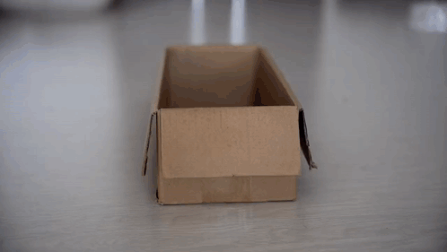A Black Cat Is Playing In A Cardboard Box . GIF
