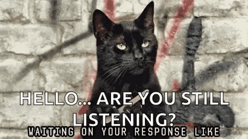 A Black Cat Is Sitting In Front Of A Brick Wall And Says Hello Are You Still Listening ? Waiting On Your Response Like GIF