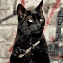 A Black Cat Is Sitting In Front Of A Brick Wall Holding A Nail File . GIF