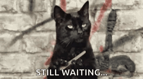 A Black Cat Is Sitting In Front Of A Brick Wall Holding A Nail File . GIF