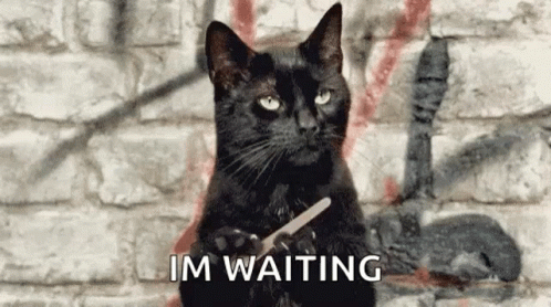 A Black Cat Is Sitting In Front Of A Brick Wall Holding A Pair Of Scissors In Its Paws . GIF