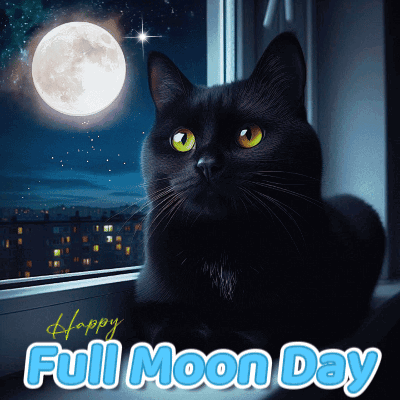 A Black Cat Is Sitting In Front Of A Full Moon And Says Happy Full Moon Day GIF