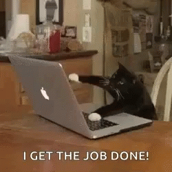 A Black Cat Is Sitting In Front Of A Laptop Computer . GIF