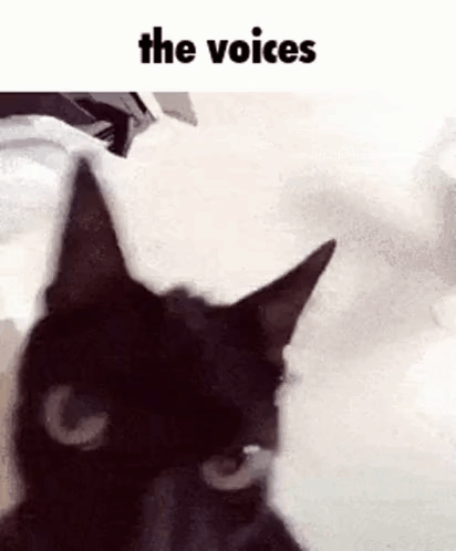 A Black Cat Is Sitting On A Bed With The Words `` The Voices '' Written Above It . GIF