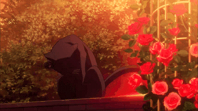 A Black Cat Is Sitting On A Brick Wall Next To A Bush Of Red Roses . GIF