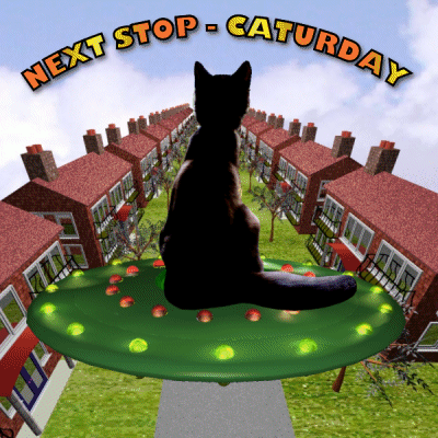 A Black Cat Is Sitting On A Green Saucer With The Words Next Stop Saturday Above It GIF