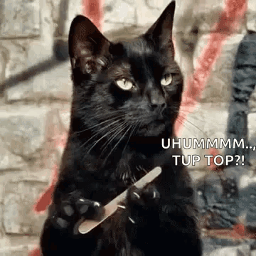 A Black Cat Is Sitting On Its Hind Legs Holding A Nail File . GIF