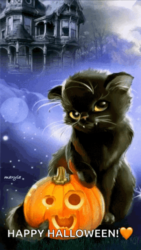 A Black Cat Is Sitting On Top Of A Carved Pumpkin With The Words Happy Halloween Written Below It GIF