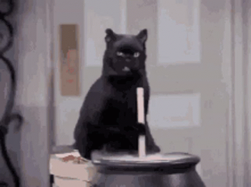 A Black Cat Is Sitting On Top Of A Cauldron Holding A Stick . GIF