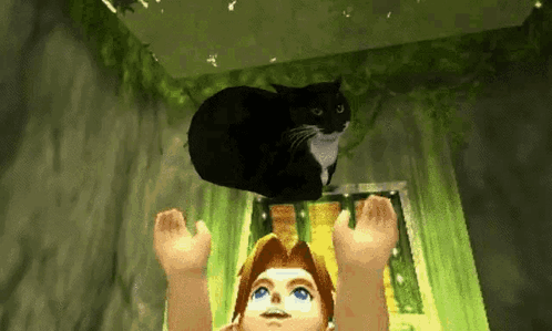 A Black Cat Is Sitting On Top Of A Girl 'S Head GIF