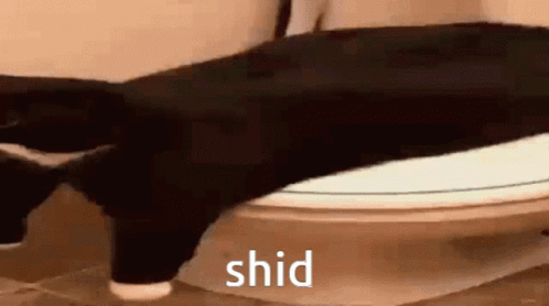 A Black Cat Is Sitting On Top Of A Toilet With The Word Shid Written On The Bottom . GIF